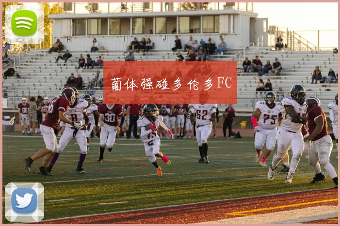 葡体强碰多伦多FC