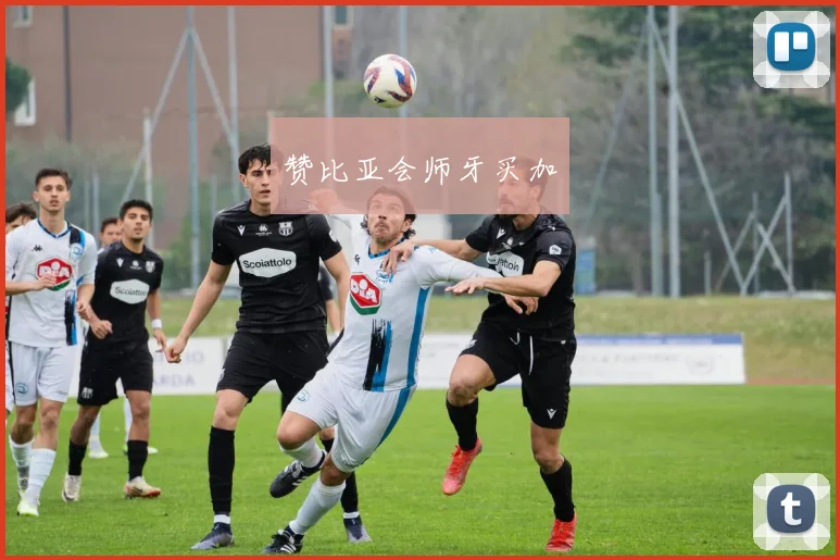 赞比亚会师牙买加